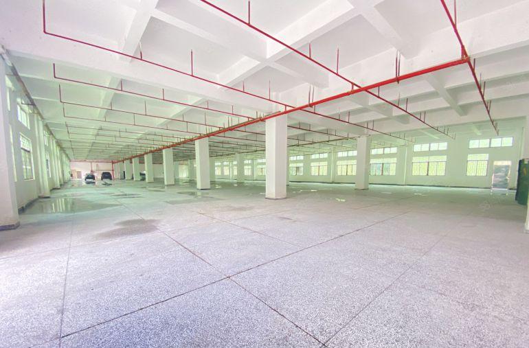 企石   原房东  独院   适合注塑五金钣金模具家具等等