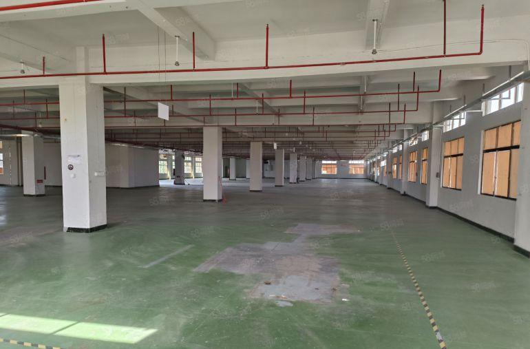 企石镇原房东标准独院带红本楼层低一楼6.5米空地大快速路旁