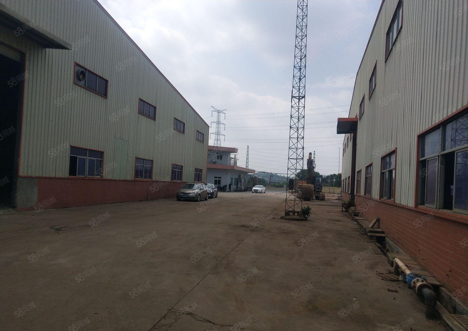 独院单一层钢构10米大小可分 电大不限电 主路旁拖头能掉头