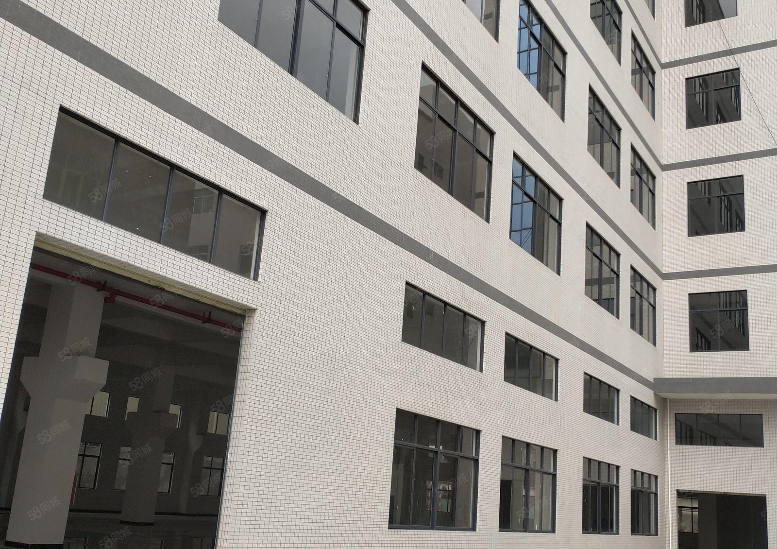 企石镇新出独门独院全新厂房一楼800平出租