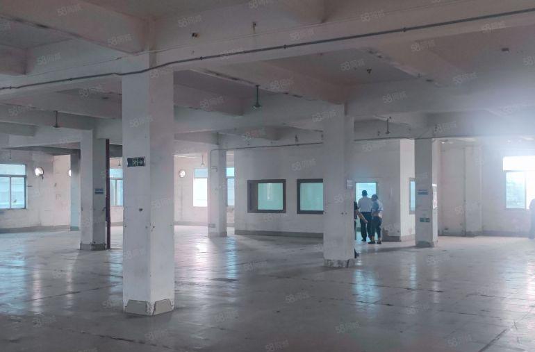 原房东实际面积厂房出租1200平方现成装修镇中心位置方便招工