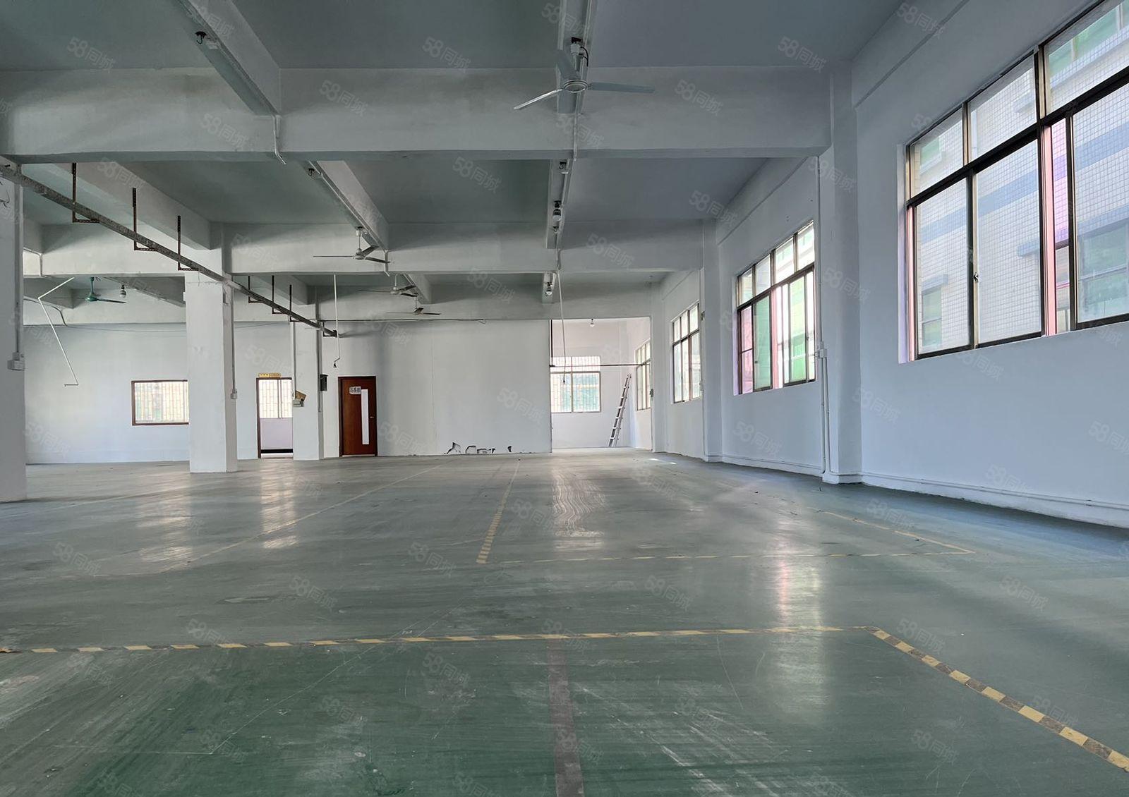 东莞市企石镇原房东独院标准5000平方精装修可分租1000平