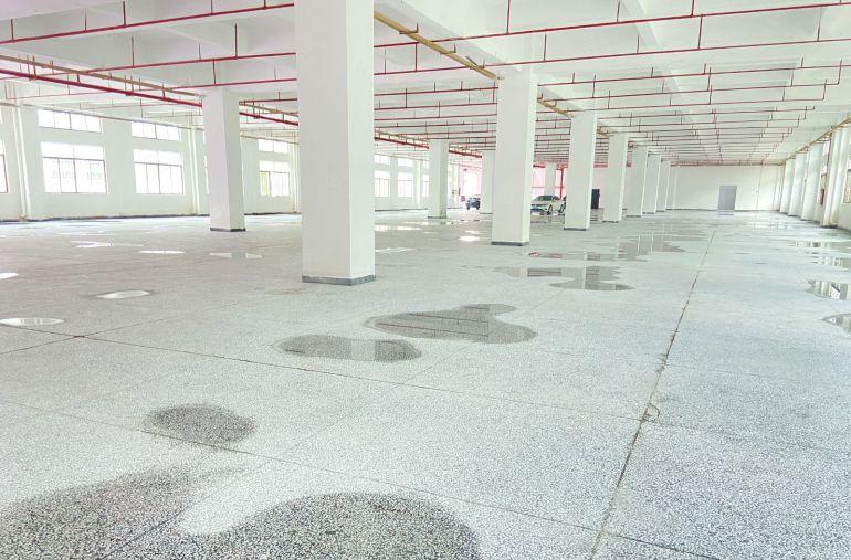 企石   原房东  独院   适合注塑五金钣金模具家具等等