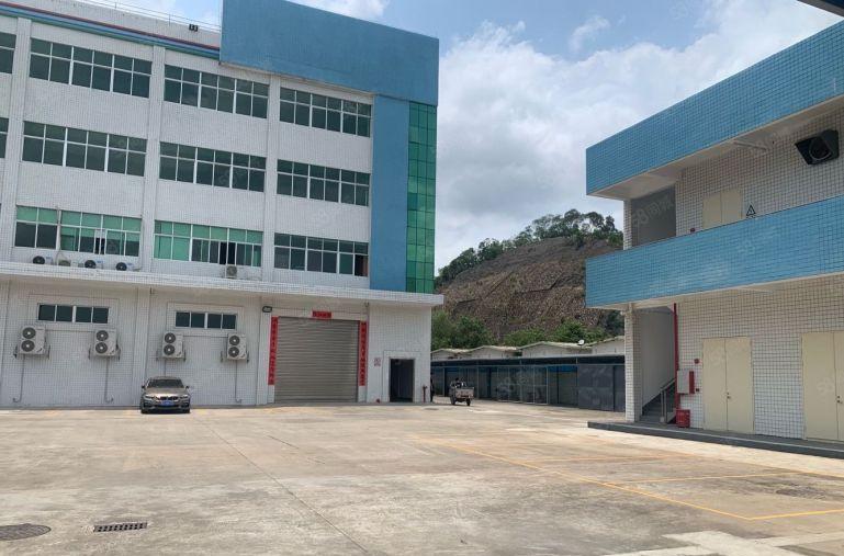 企石新出原房东独门独院5000平方实际面积出租可分租