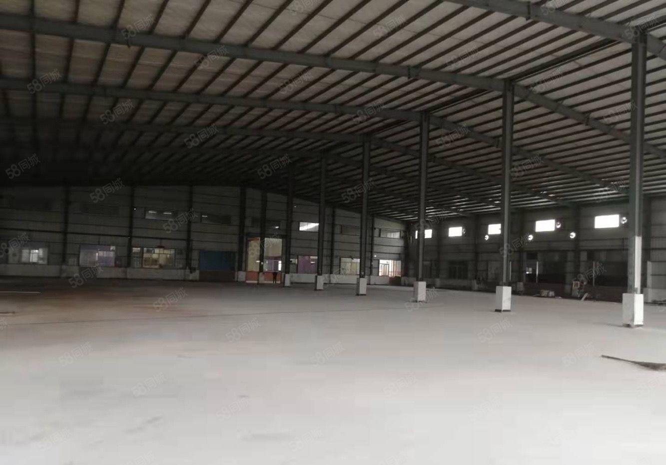 东莞企石镇独院钢构30000平方滴水10米工业用地可分租