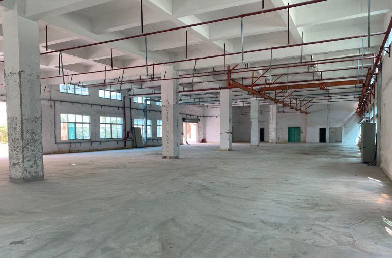 企石镇新出原房东独院厂房8000平方米，水电可过户