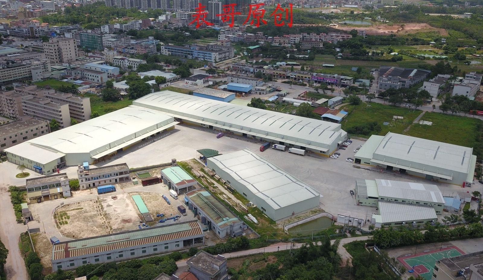 红本双证原房东单一层独院厂房出租