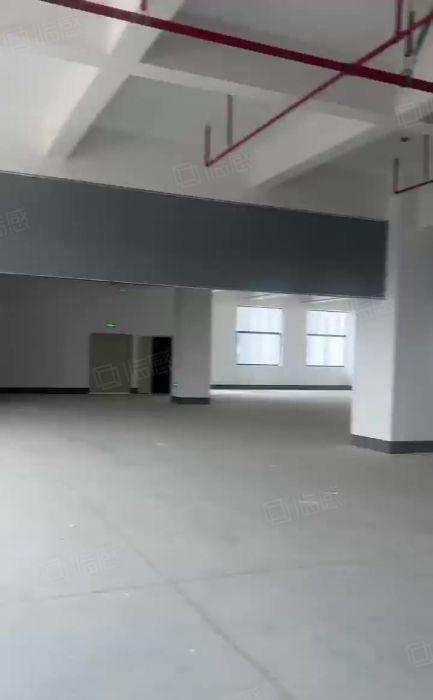 企石新出原房东 全新厂房出租 园区空地大 随时可看 仅租8块