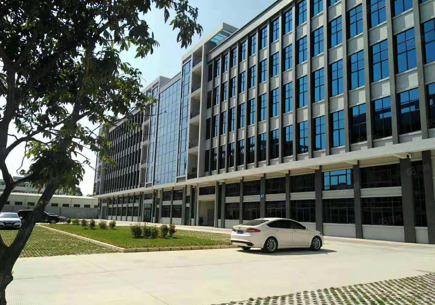 东莞企石镇东部快速附近独院标准厂房单层4000平可分1000