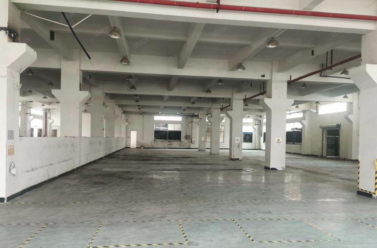 企石镇东山村标准厂房一楼带牛角位1800平米厂房出租