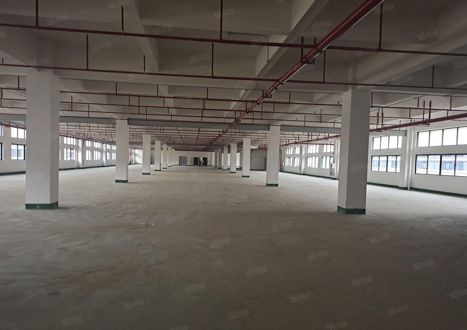 八元起租 横沥镇原房东全新独院厂房按需出租