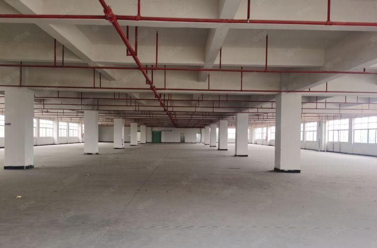 企石原房东独院13块13000平方6米高3吨电梯独院厂房出租