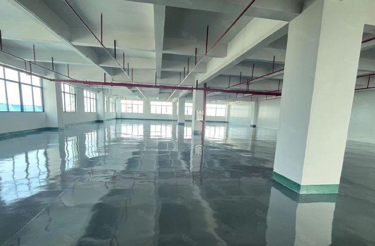 企石镇原房东独门独院标准厂房，空地超大，有办公楼宿舍，形象好