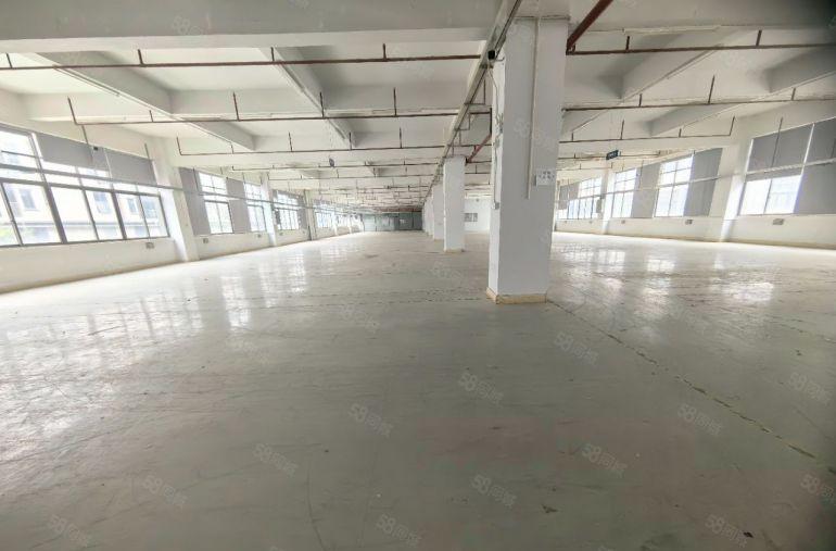 企石镇新出原房东独门独院标准厂房。13500平方。