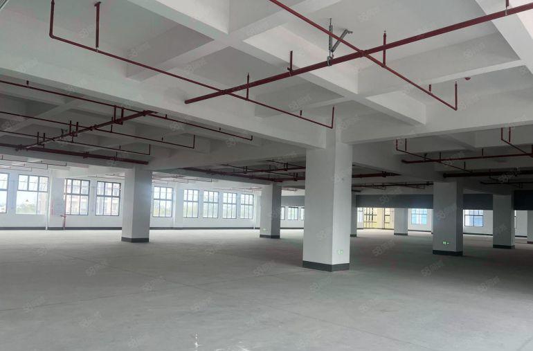 企石新出原房东 全新厂房出租 园区空地大 随时可看 仅租8块