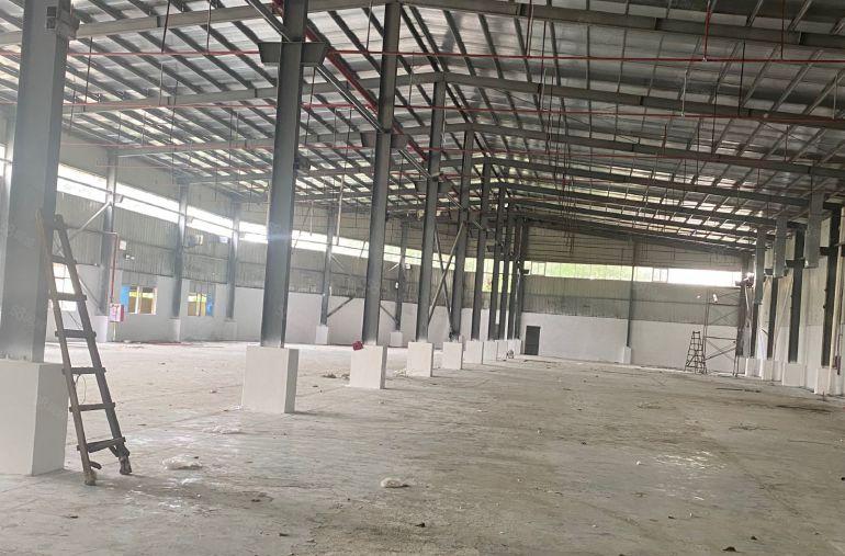 企石镇单一层8米高独院厂房2600平，适合五金压铸纸箱等行业