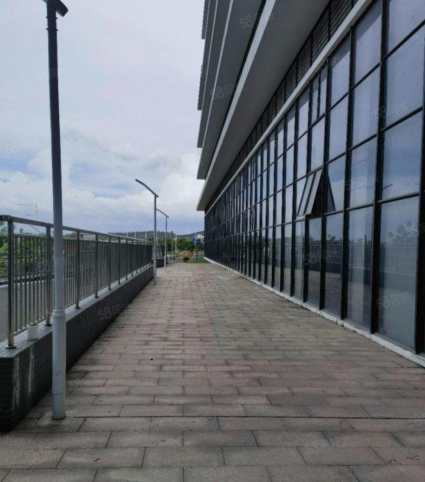 企石镇高新原房东厂房一楼7米高3300平米厂房出租