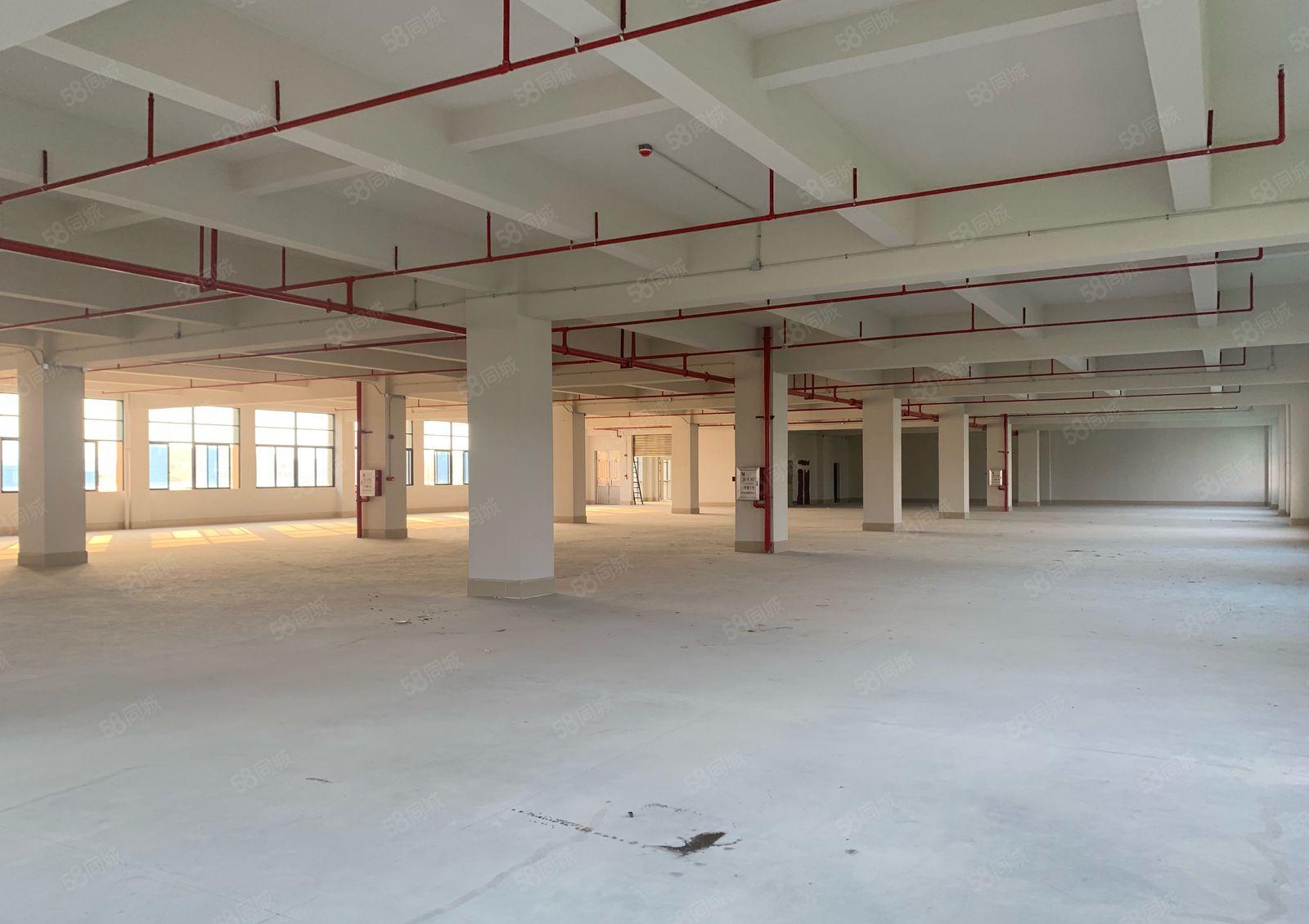 企石全新一楼6米高独院厂房5层10000平米厂房出租