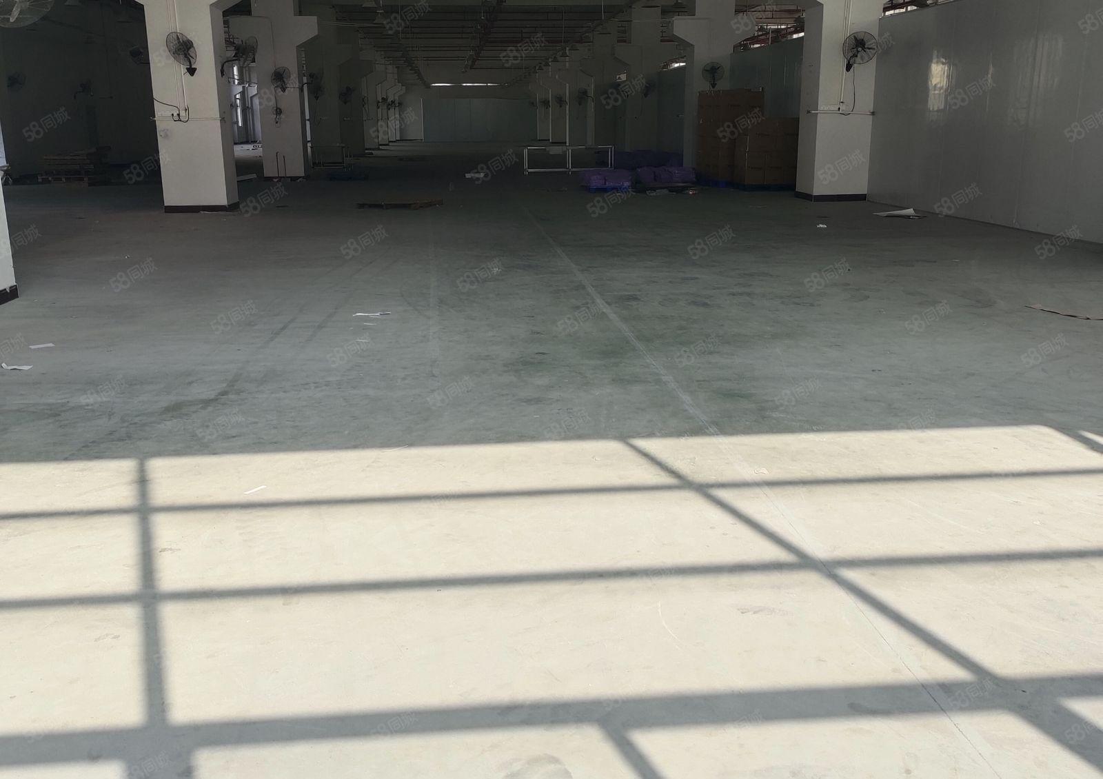 东莞企石镇原房东一楼4000平米厂房出租，6.5米高带牛角