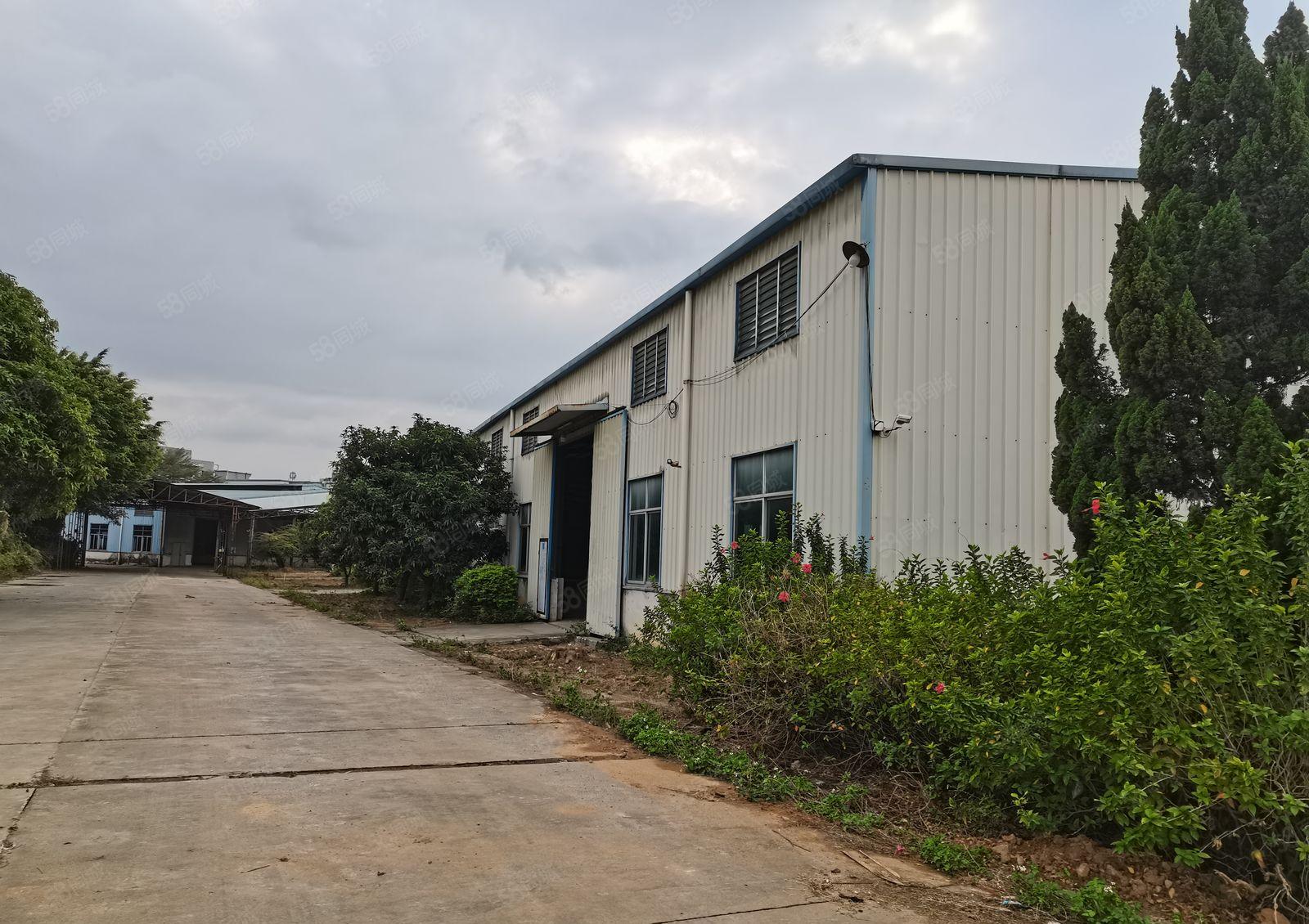 企石镇新空出独院钢构厂房1万平方，滴水7.5米，超大空地。