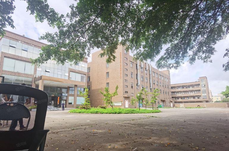 企石原房东高大上独院18含税14800平方6米高标准钢构厂房