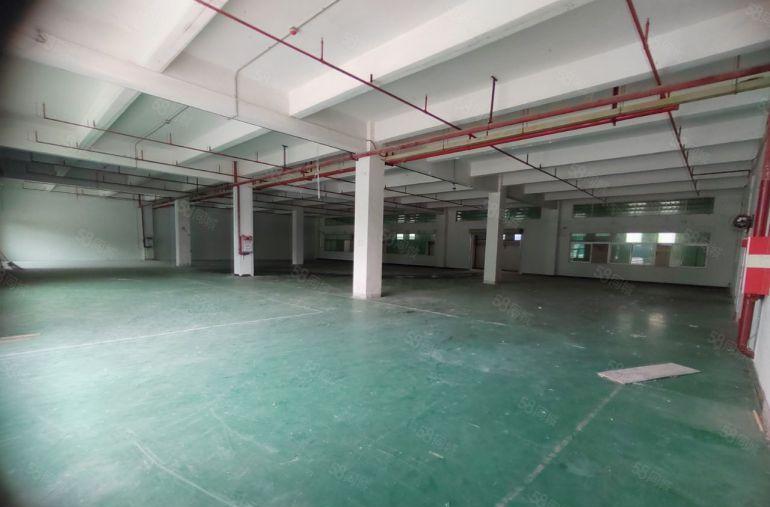 企石镇原房东，厂房2楼3楼，单层面积1800平，可分层出租