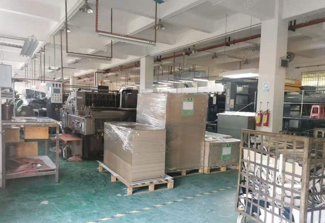 企石镇原房东标准独门独院厂房5000平（国有红本）带精装修