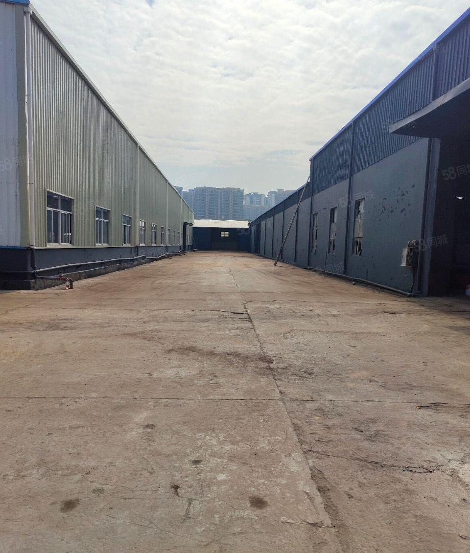 企石滴水10独院钢构厂房8000平米出租