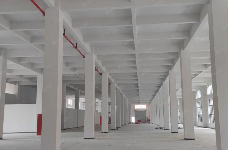 东莞新出原房东超长125米两层厂房一楼8米二楼6米近东部快速