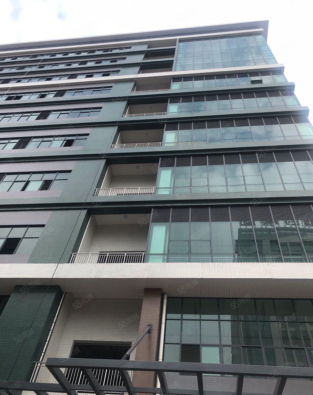 可分租单层,望牛墩原房东全新独院标准厂房21841平方出租