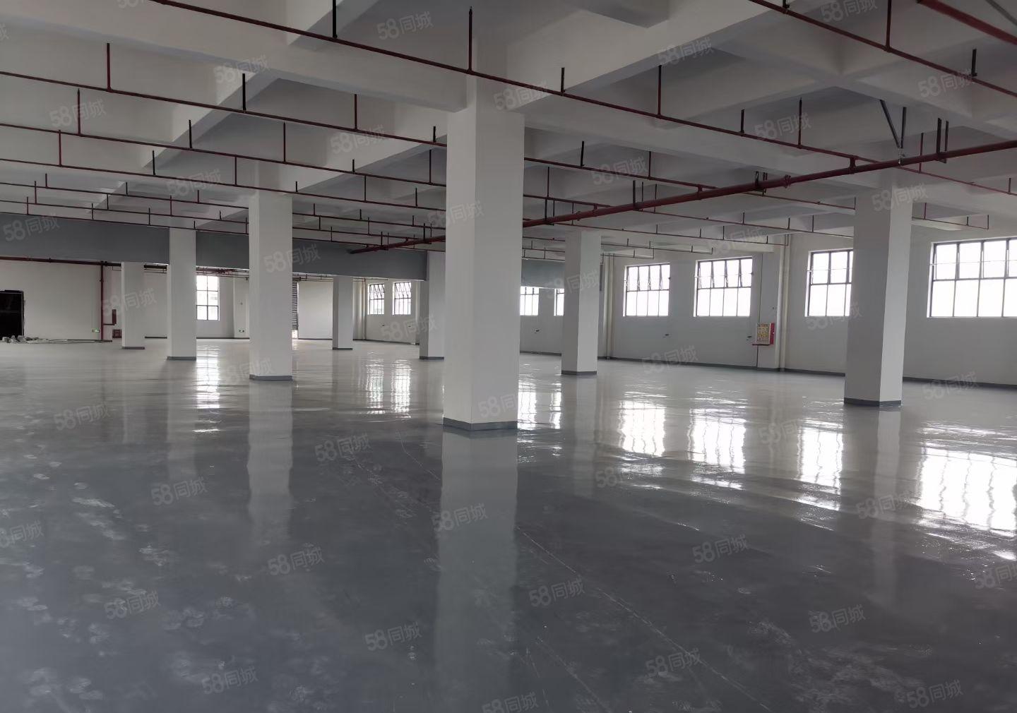 望牛墩20000平方高新产业园出租