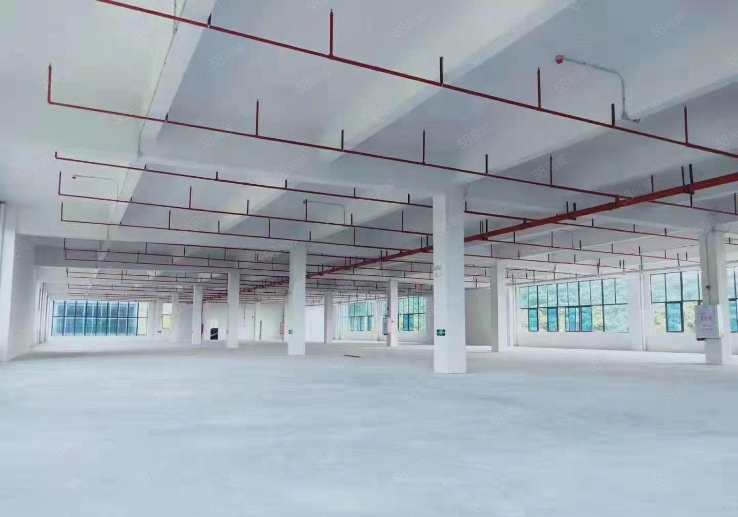 东莞市政府推进粤港澳大湾区新建重点项目