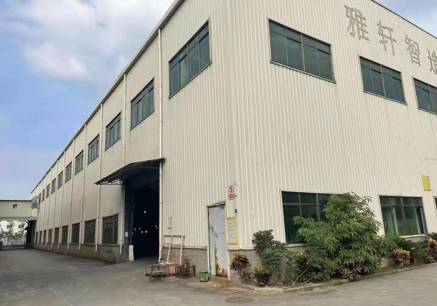 望牛墩单一层厂房证件齐全