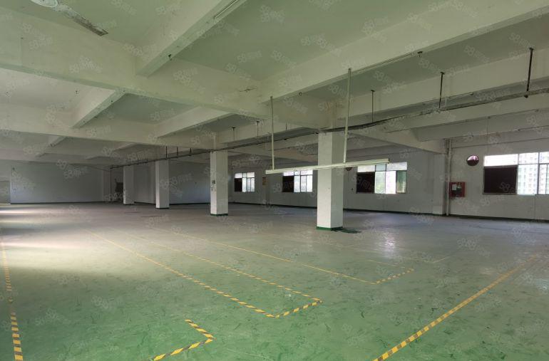 每层1000可分租望牛墩独院4000有地坪漆原房东厂房