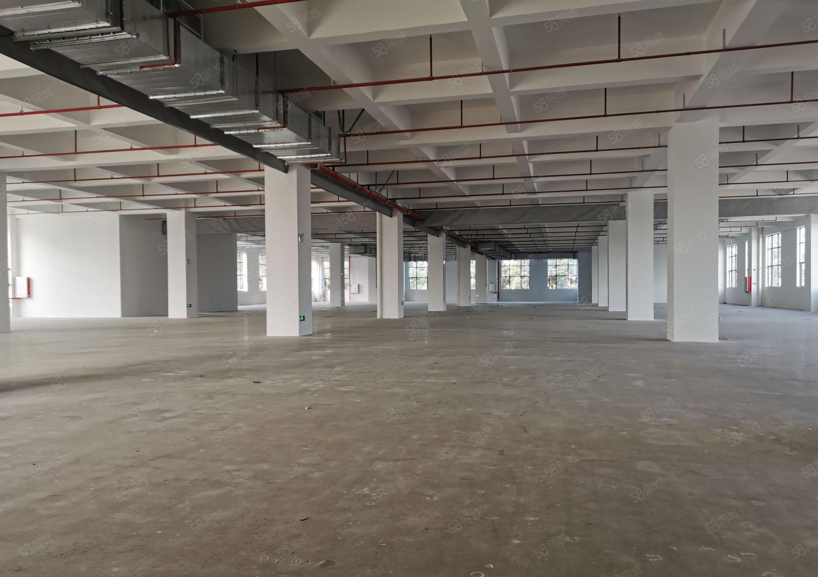 望牛墩高标准环球产业园26800方出租，可分租