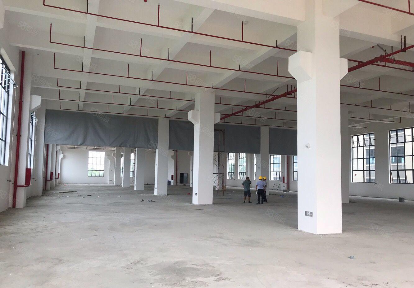 可分租单层,望牛墩原房东全新独院标准厂房21841平方出租