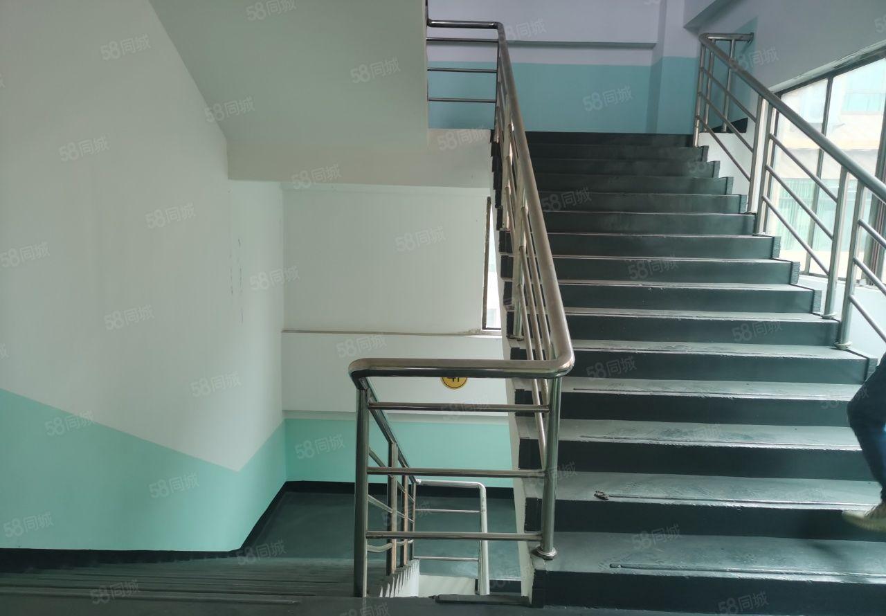 望牛墩高速口独门独院低价厂房出租，国有双证，可整租，可分租。