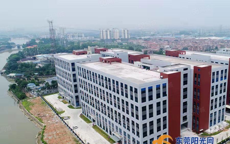 东莞市政府推进粤港澳大湾区新建重点项目