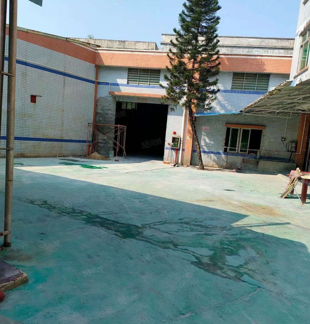 望牛墩镇原房东1000平方单层厂房出租（价格可谈）