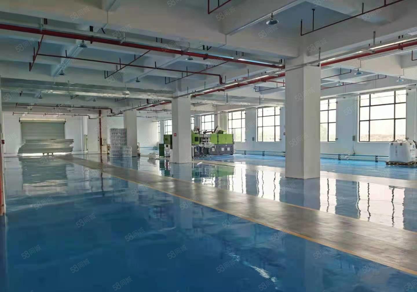 望牛墩红本高新产业园