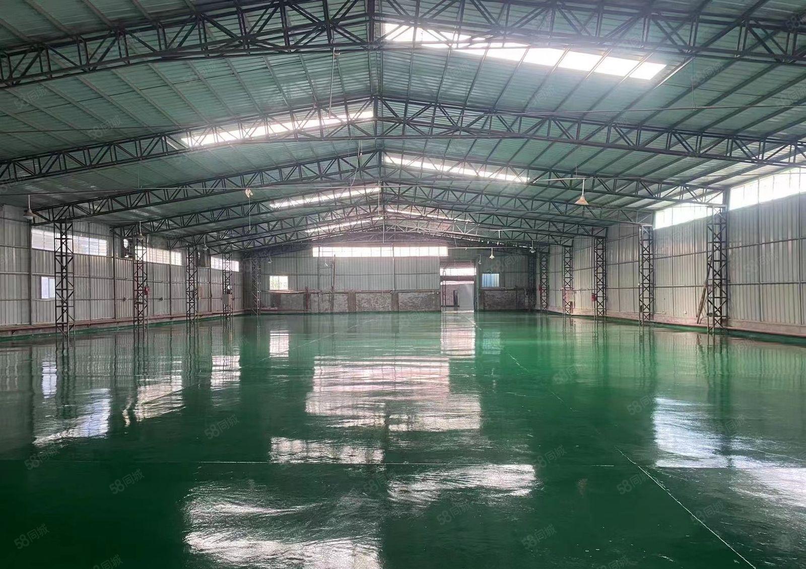 望牛墩新出独院单一层厂房出租2150平，带全新地坪漆