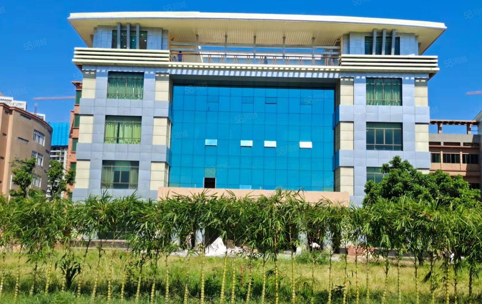 望牛墩高速口独门独院低价厂房出租，国有双证，可整租，可分租。