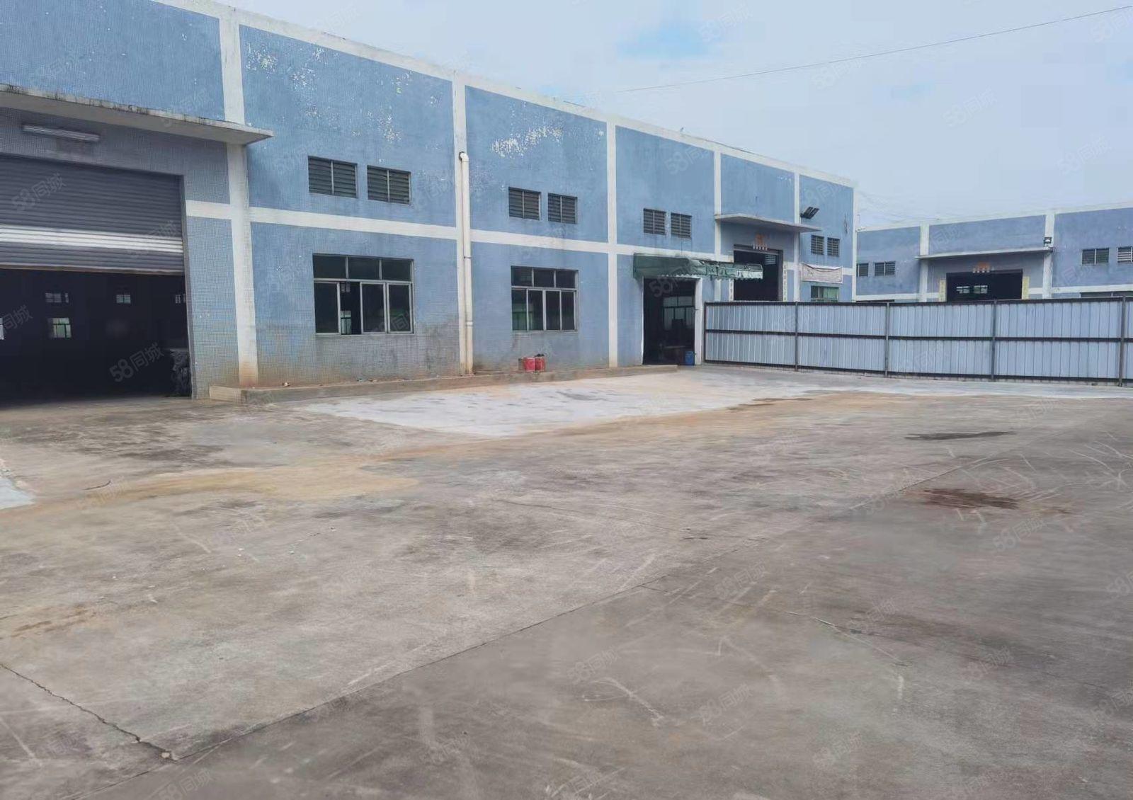 望牛墩单一层厂房，滴水7.5米