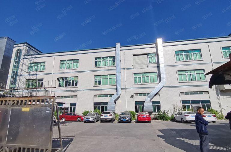 新资源望牛墩一楼1500平带办公室带地坪漆