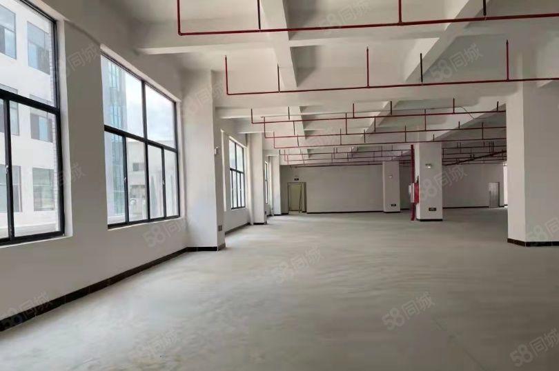 全新高新产业镇政府厂房直接招商！花园式厂房出租，免租期长