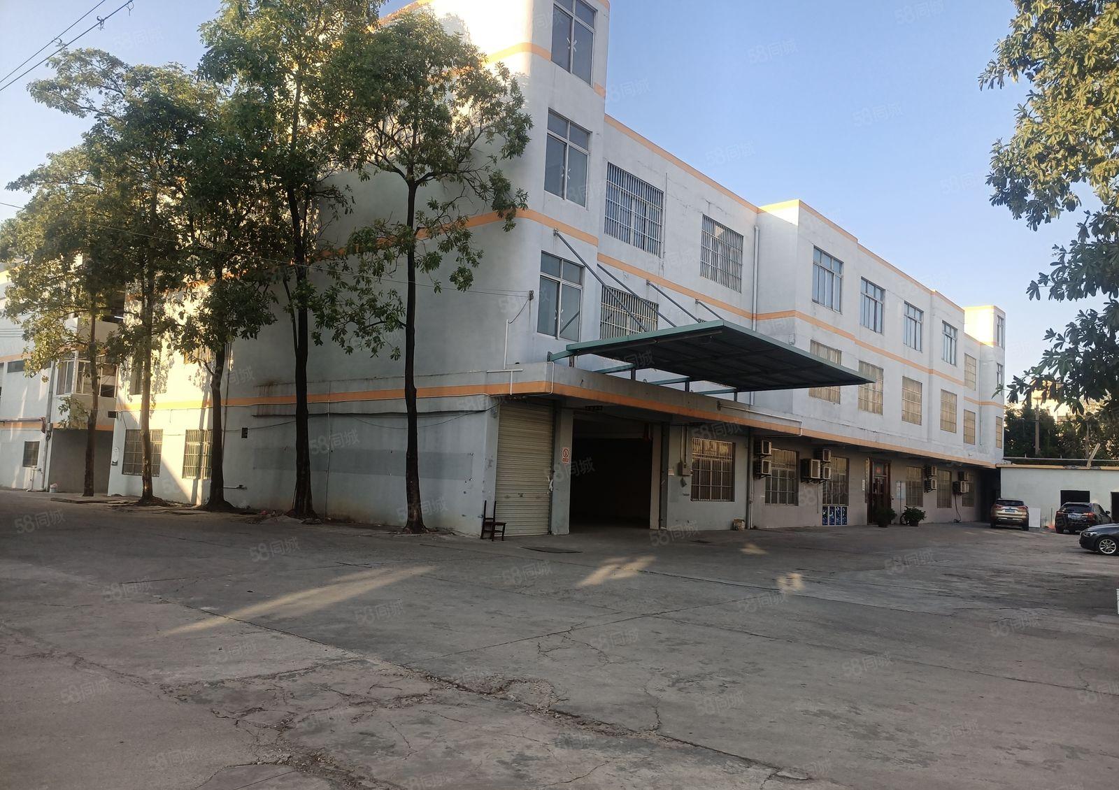 望牛墩水乡新城望洪路村委厂房招租