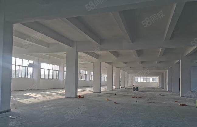望牛墩出租标准楼层厂房10000平方 有电梯 电（可增）