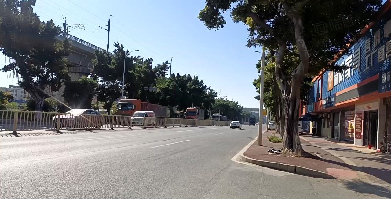 望牛墩水乡新城望洪路村委厂房招租