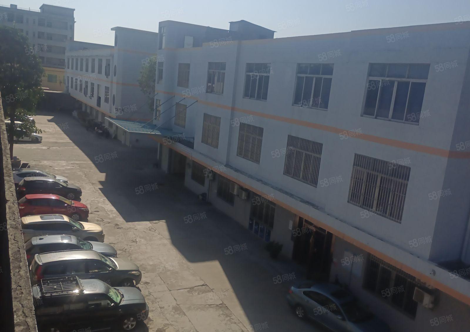 水乡大道旁成熟工业区村委厂房出租