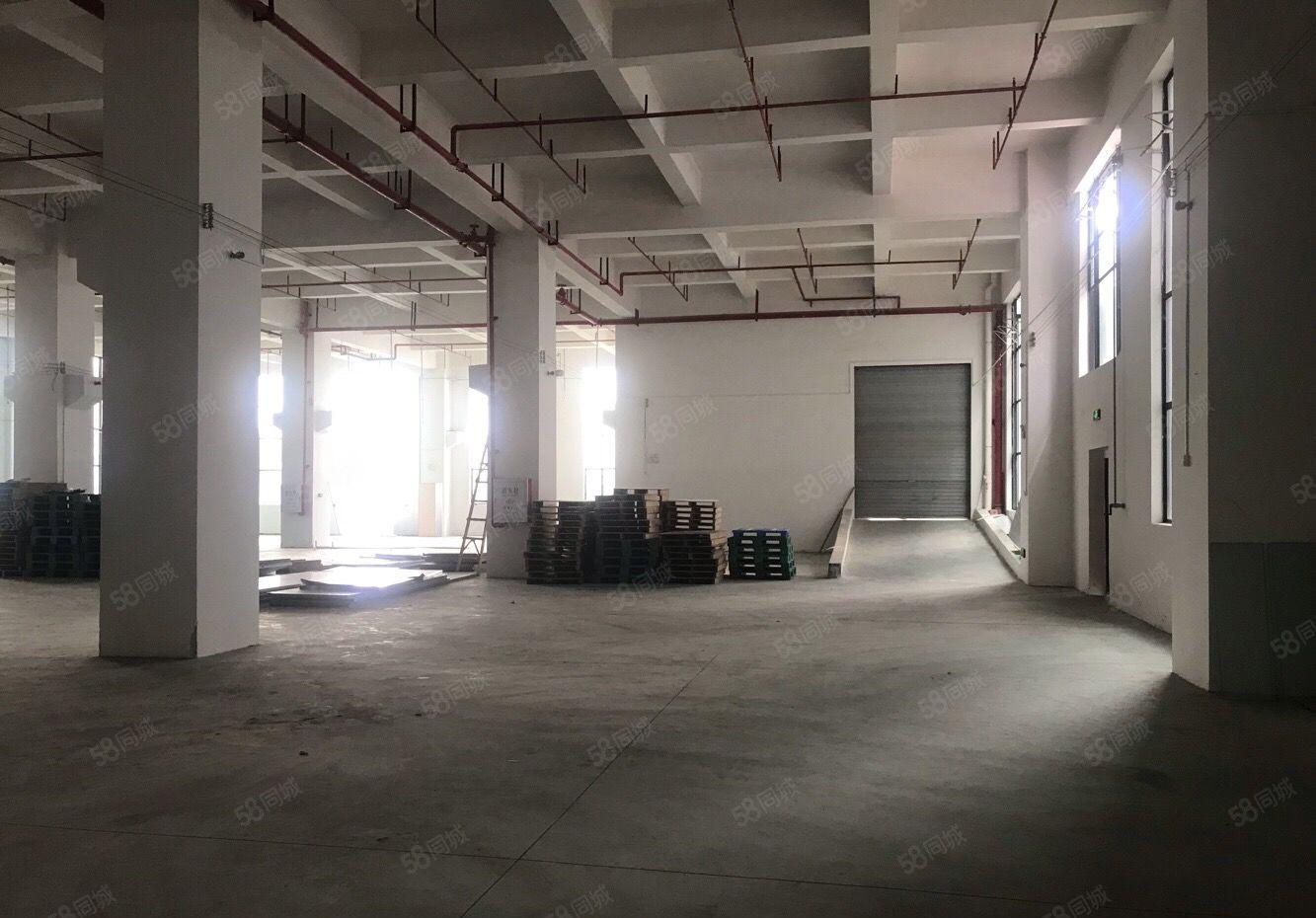 望牛墩标准厂房一楼带牛角1600平方独院厂房出租单一层